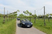 Le Jaguar nella zona del Prosecco e Cartize (132/152)